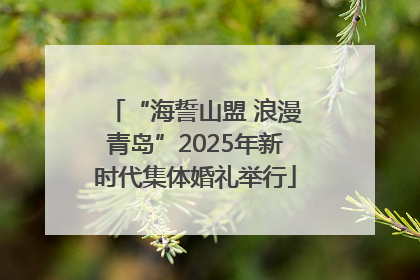 “海誓山盟 浪漫青岛”2025年新时代集体婚礼举行