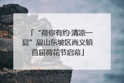 “荷你有约·清凉一夏”眉山东坡区尚义镇首届荷花节启幕