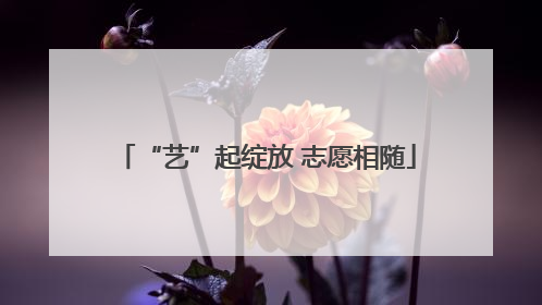 “艺”起绽放 志愿相随