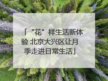 “花”样生活新体验 北京大兴区让月季走进日常生活