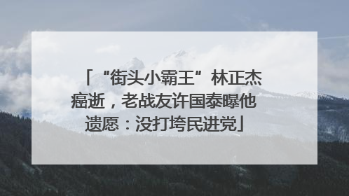 “街头小霸王”林正杰癌逝，老战友许国泰曝他遗愿：没打垮民进党