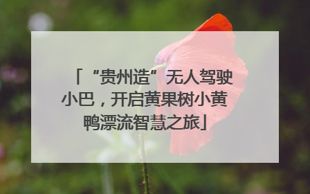 “贵州造”无人驾驶小巴，开启黄果树小黄鸭漂流智慧之旅