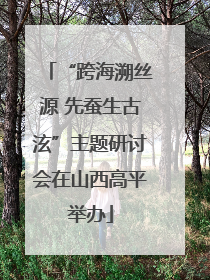 “跨海溯丝源 先蚕生古泫”主题研讨会在山西高平举办