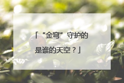 “金穹”守护的是谁的天空？