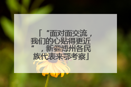 “面对面交流，我们的心贴得更近”，新疆博州各民族代表来鄂考察