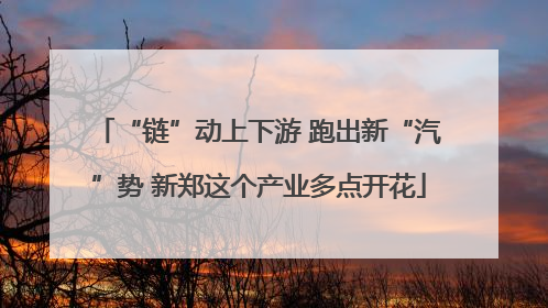 “链”动上下游 跑出新“汽”势 新郑这个产业多点开花
