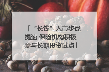 “长钱”入市步伐提速 保险机构积极参与长期投资试点