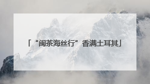 “闽茶海丝行”香满土耳其