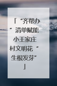 “齐帮办”清单赋能 小王家庄村文明花“生根发芽”