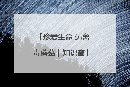 珍爱生命 远离毒蘑菇｜知识窗