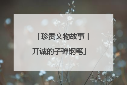 珍贵文物故事丨开诚的子弹钢笔