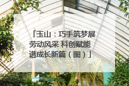 玉山：巧手筑梦展劳动风采 科创赋能谱成长新篇（图）