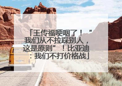 王传福哽咽了！“我们从不拉踩别人，这是原则”！比亚迪：我们不打价格战