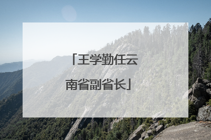 王学勤任云南省副省长