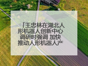 王忠林在湖北人形机器人创新中心调研时强调 加快推动人形机器人产业高质量发展 打造具有全国影响力的研发创新基地