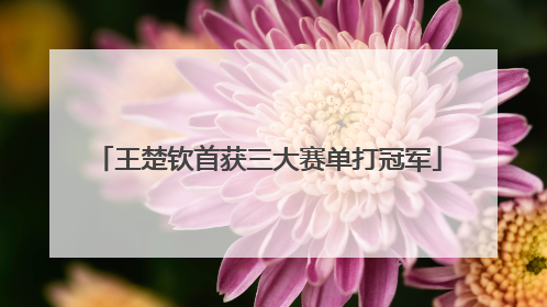 王楚钦首获三大赛单打冠军