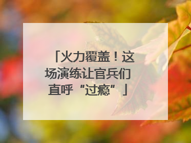 火力覆盖！这场演练让官兵们直呼“过瘾”
