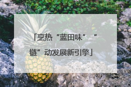 烹热“蓝田味”“链”动发展新引擎