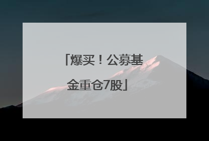 爆买！公募基金重仓7股