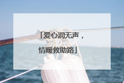 爱心润无声，情暖救助路