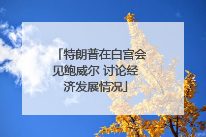 特朗普在白宫会见鲍威尔 讨论经济发展情况