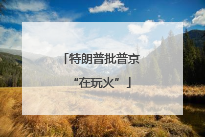 特朗普批普京“在玩火”