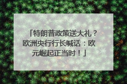 特朗普政策送大礼？欧洲央行行长喊话：欧元崛起正当时！