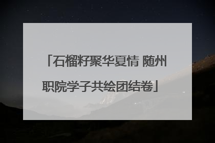 石榴籽聚华夏情 随州职院学子共绘团结卷
