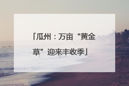瓜州：万亩“黄金草”迎来丰收季