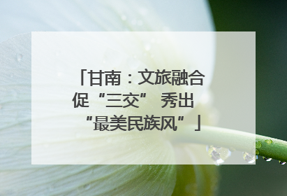 甘南：文旅融合促“三交” 秀出“最美民族风”