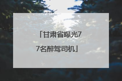 甘肃省曝光77名醉驾司机