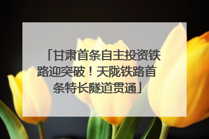 甘肃首条自主投资铁路迎突破！天陇铁路首条特长隧道贯通