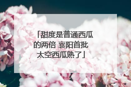 甜度是普通西瓜的两倍 襄阳首批太空西瓜熟了