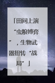 田间上演“虫粮博弈”，生物武器扭转“战局”