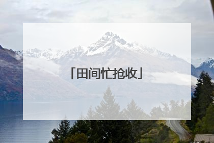 田间忙抢收