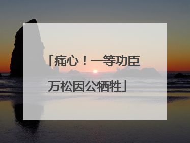 痛心！一等功臣万松因公牺牲