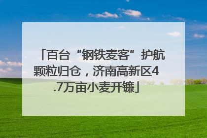 百台“钢铁麦客”护航颗粒归仓，济南高新区4.7万亩小麦开镰
