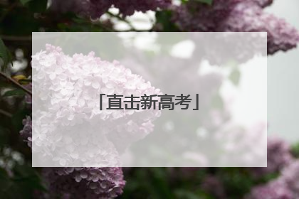 直击新高考