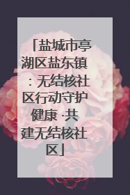 盐城市亭湖区盐东镇：无结核社区行动守护健康 ·共建无结核社区