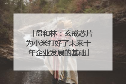 盘和林：玄戒芯片为小米打好了未来十年企业发展的基础