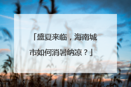 盛夏来临，海南城市如何消暑纳凉？