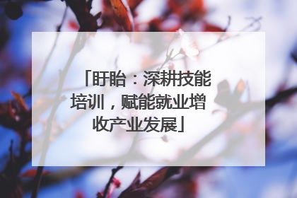 盱眙：深耕技能培训，赋能就业增收产业发展