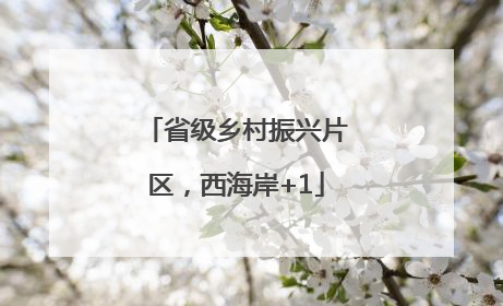 省级乡村振兴片区，西海岸+1