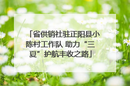 省供销社驻正阳县小陈村工作队 助力“三夏”护航丰收之路