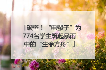 破壁！“电骡子”为774名学生筑起暴雨中的“生命方舟”