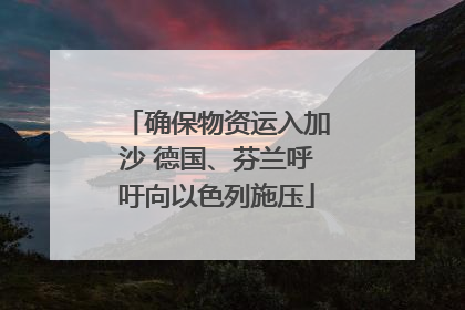确保物资运入加沙 德国、芬兰呼吁向以色列施压