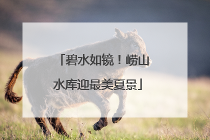 碧水如镜！崂山水库迎最美夏景
