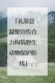 礼泉县：凝聚宣传合力构筑野生动物保护防线