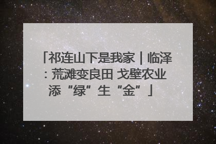 祁连山下是我家｜临泽：荒滩变良田 戈壁农业添“绿”生“金”