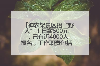 神农架景区招“野人”！日薪500元，已有近4000人报名，工作职责包括“接受游客投喂”